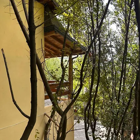 Dafinat Hotel Bogove