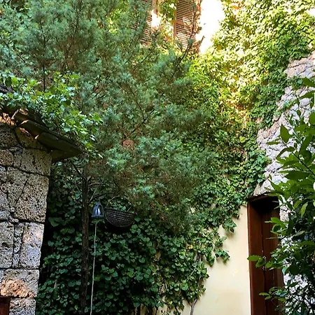 Dafinat Hotel Bogove