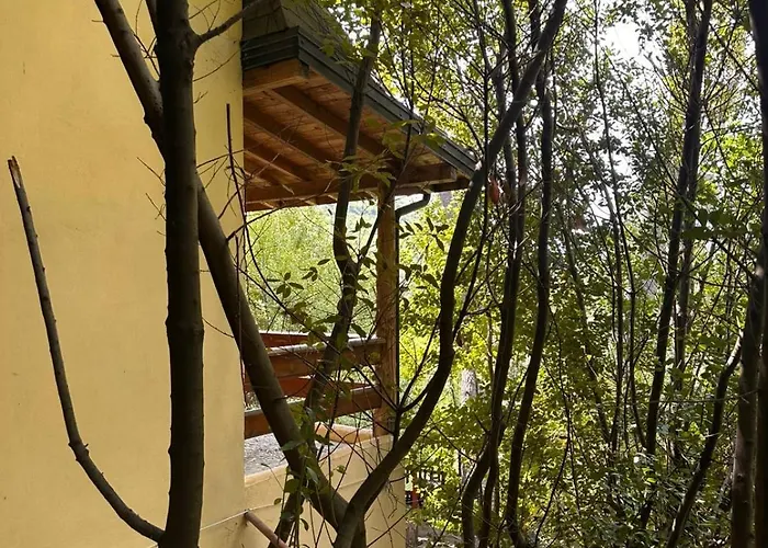 Dafinat Hotel Bogove